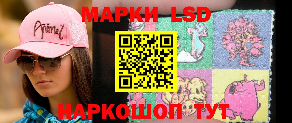 Можга  Наркотические марки 1500мкг  Вход с VPN  Наркотические марки 1500мкг 