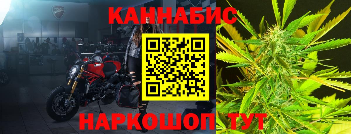 Бошки Шишки план Можга